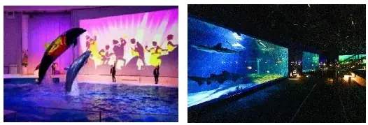 【アクアワールド茨城県大洗水族館】アクアワールド・大洗流、涼んで楽しむ暑い夏SUMMER AQUAWORLD 2025 画像 5