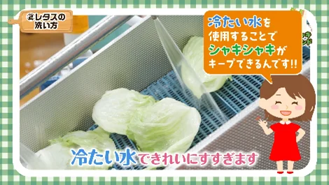 工場内に“潜入”し商品づくりのこだわりを伝えるオリジナル動画「セブン‐イレブン　おいしさ伝え隊」特設サイトを開設！7月11日（金）の「セブン‐イレブンの日」に公開 画像 4