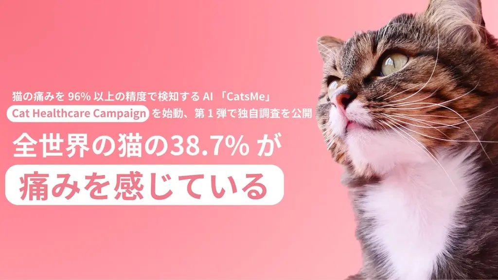 2024年7月開始「Cat Healthcare Campaign」で猫の痛み検知AIが健康支援