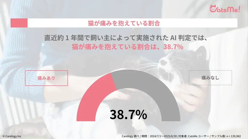猫の痛みを 96% 以上の精度で検知する AI アプリ「CatsMe」、世界中の猫の健康維持に貢献するべく 「Cat Healthcare Campaign」を始動 画像 2