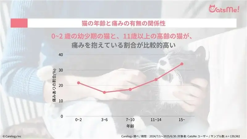猫の痛みを 96% 以上の精度で検知する AI アプリ「CatsMe」、世界中の猫の健康維持に貢献するべく 「Cat Healthcare Campaign」を始動 画像 4