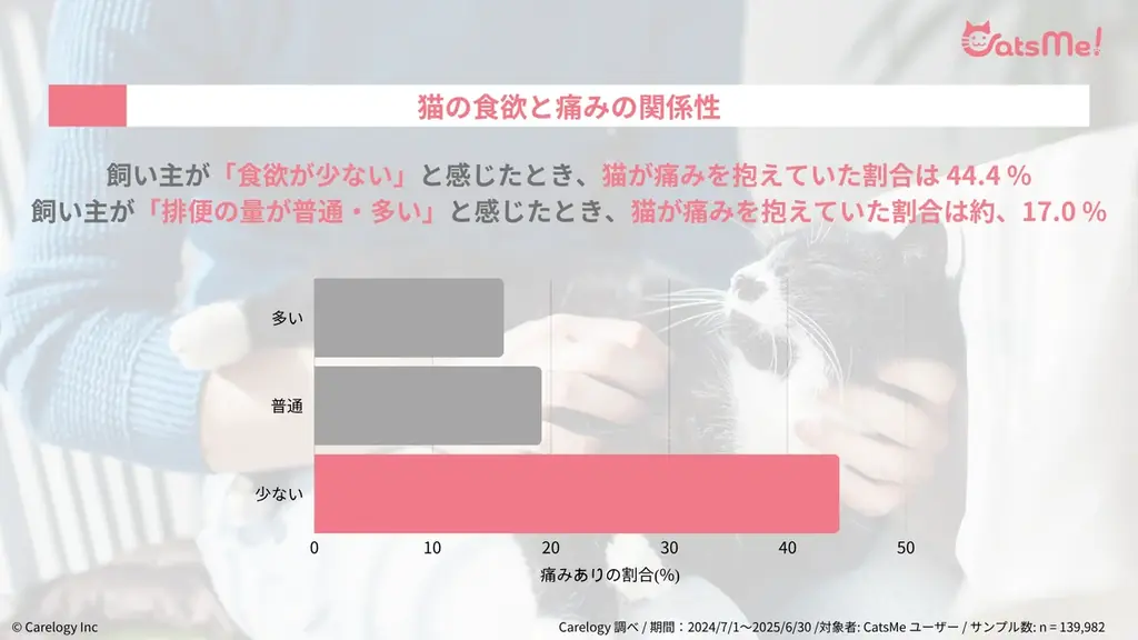 猫の痛みを 96% 以上の精度で検知する AI アプリ「CatsMe」、世界中の猫の健康維持に貢献するべく 「Cat Healthcare Campaign」を始動 画像 5