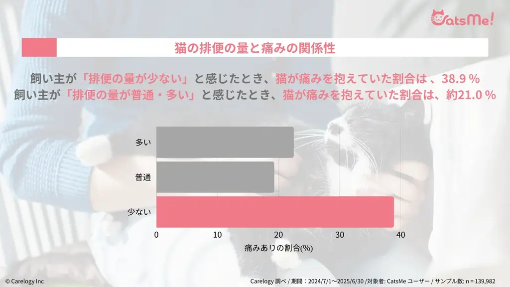 猫の痛みを 96% 以上の精度で検知する AI アプリ「CatsMe」、世界中の猫の健康維持に貢献するべく 「Cat Healthcare Campaign」を始動 画像 6