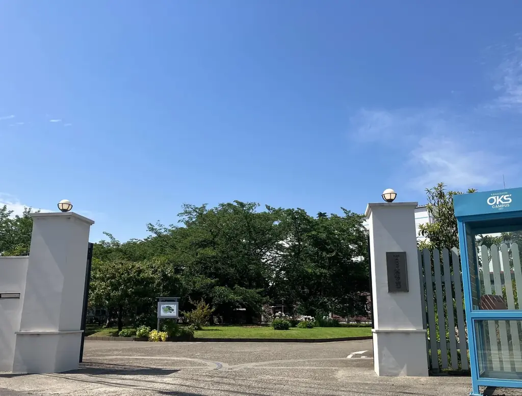 7月・8月期間限定！「1110 CAFE/BAKERY」で、暑い夏をトロピカルな発酵メニューで楽しむフェア「Plant-Based Paradise」開催。 画像 8