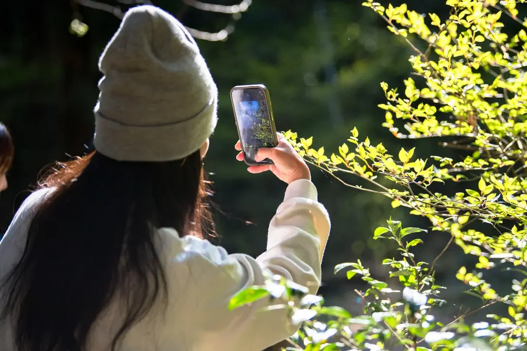 東京・高尾山麓にクラフトビール醸造所併設のサウナ施設『TAKAO 36 SAUNA』2025年7月12日(土)11時オープン! 画像 4