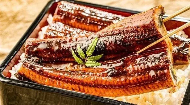 暑い夏！栄養満点な鰻でこの夏を乗り切ろう　鰻の成瀬 光店7月12日オープン 画像 5