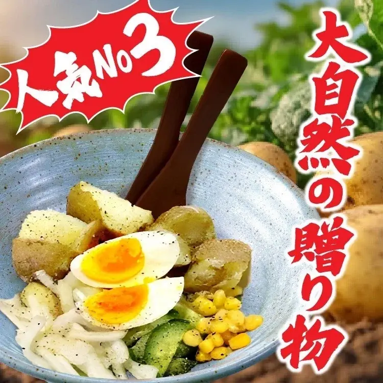 【リニューアルオープン】全国200店舗、東京で行列のできる居酒屋『新時代』が豊橋に帰ってくる！2025年7月26日(土)『新時代 豊橋柱店』RENEWAL OPEN 画像 16