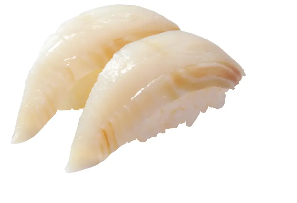 【はま寿司】旬の石垣貝、脂のりの良いアブラガレイ、マグロの天身が100円（税込110円）！「はま寿司 夏の旨ねた祭り」開催！ 画像 3