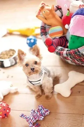 夏の元気を美味しくチャージ！JOINUS 夏グルメ 画像 11