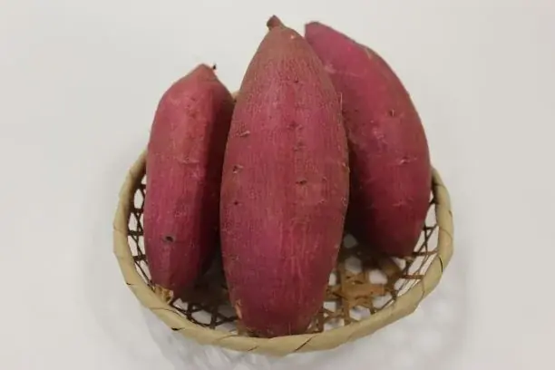 ～はまっ子のみんなが食べたい給食、作ってみよう～「第23回 はま菜ちゃん料理コンクール」を開催します！ 画像 5