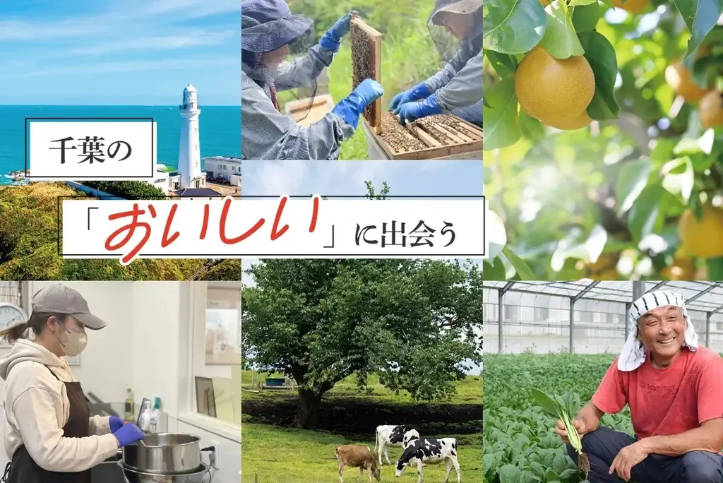 【地域新聞社】優待利回り42.7%！株主優待制度の変更（拡充）のお知らせ 画像 4