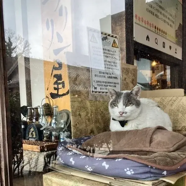 今年の夏休みは瀬戸内 小豆島へアートと昭和ノルタルジックの旅 画像 13