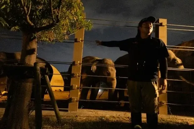 【のんほいパークナイトZOO】2025年の夏は夜の動物園で大冒険しよう! 画像 3