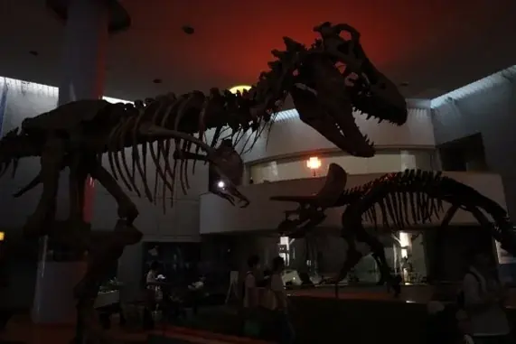 【のんほいパークナイトZOO】2025年の夏は夜の動物園で大冒険しよう！ 画像 5