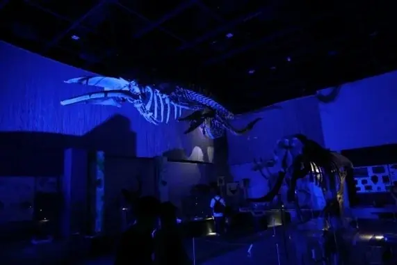 【のんほいパークナイトZOO】2025年の夏は夜の動物園で大冒険しよう！ 画像 6
