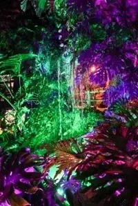 【のんほいパークナイトZOO】2025年の夏は夜の動物園で大冒険しよう! 画像 7