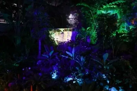 【のんほいパークナイトZOO】2025年の夏は夜の動物園で大冒険しよう！ 画像 8
