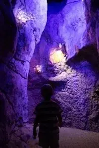 【のんほいパークナイトZOO】2025年の夏は夜の動物園で大冒険しよう！ 画像 9