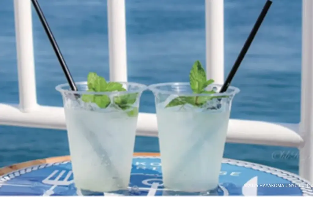 【2025年7月21日（月・祝） 「海の日」小学生乗船無料キャンペーン】boh boh KOBE船上で家族と一緒にあそboh boh（遊ぼう）♪ 画像 4