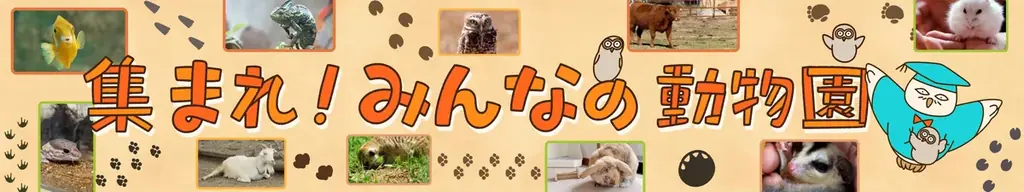 7月15日開始！FamilyMartVisionで新動物紹介企画スタート