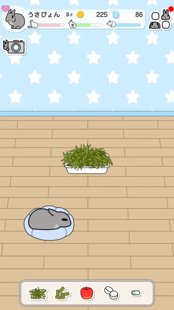 クラウドファンディングで約180人が支援！早くも話題沸騰中の育成ゲームアプリ『うさびより 〜もしも、うさぎと暮らすなら〜』正式リリースのお知らせ 画像 3