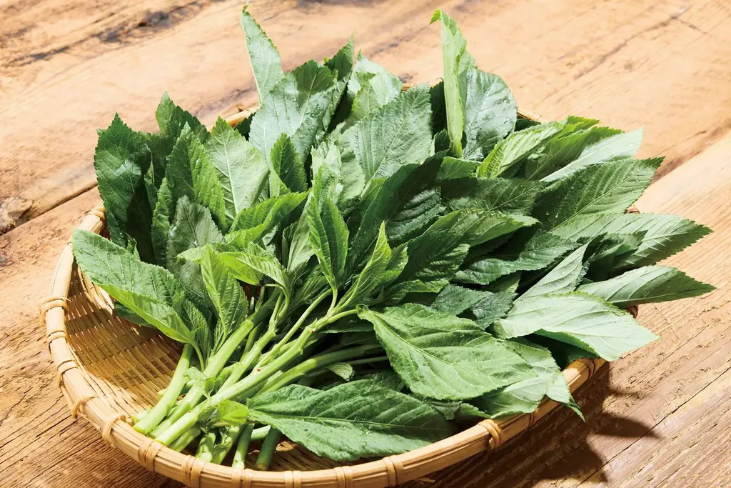 【しゃぶしゃぶ温野菜】夏限定の食べ放題メニューが10%OFF!極み“とろろお”で楽しむ『夏野菜と厳選五種の旨みだし 山形恵み豚しゃぶ』 画像 6