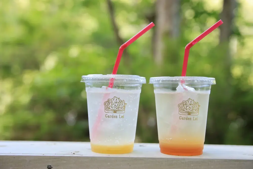 【広島／世羅】ミュージアム館内のカフェOPEN《森と花の絵本ミュージアムGarden Lei》 画像 8