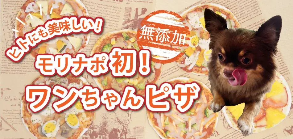 ワンちゃんピザ発売