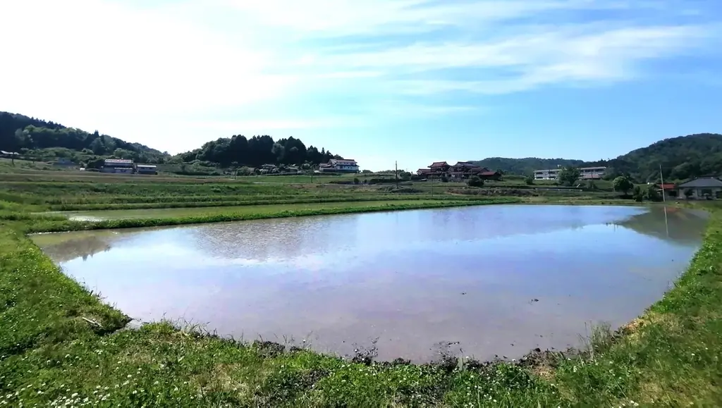田んぼごとの味わいの違いを楽しむ次世代の日本酒「YOGANSUの酒 」。広島県三原市の「よがんす白竜」が、新酒4種類(VT2024)を7/19(土)より発売開始。 画像 2
