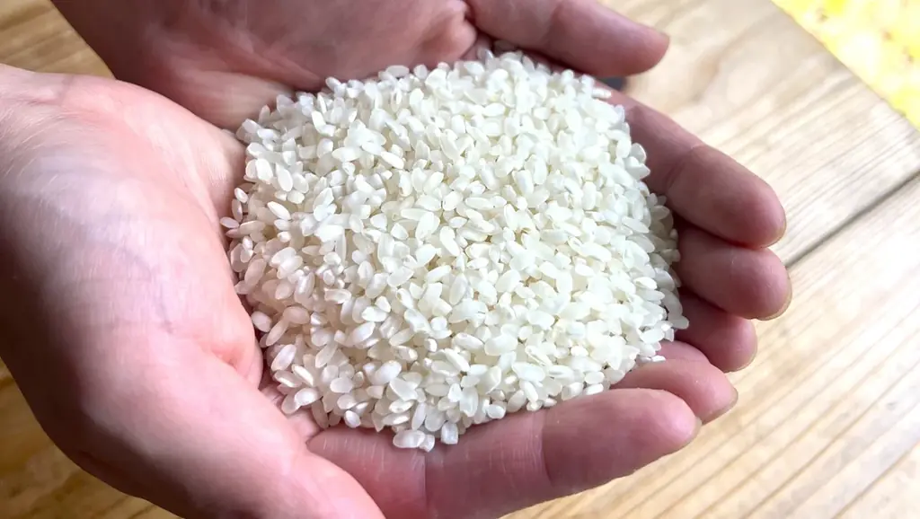 田んぼごとの味わいの違いを楽しむ次世代の日本酒「YOGANSUの酒 」。広島県三原市の「よがんす白竜」が、新酒4種類(VT2024)を7/19(土)より発売開始。 画像 4