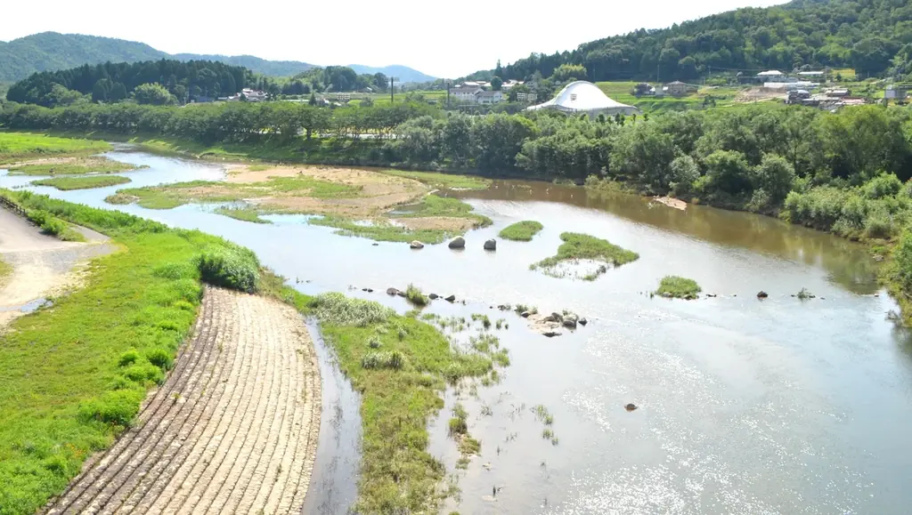田んぼごとの味わいの違いを楽しむ次世代の日本酒「YOGANSUの酒 」。広島県三原市の「よがんす白竜」が、新酒4種類(VT2024)を7/19(土)より発売開始。 画像 5