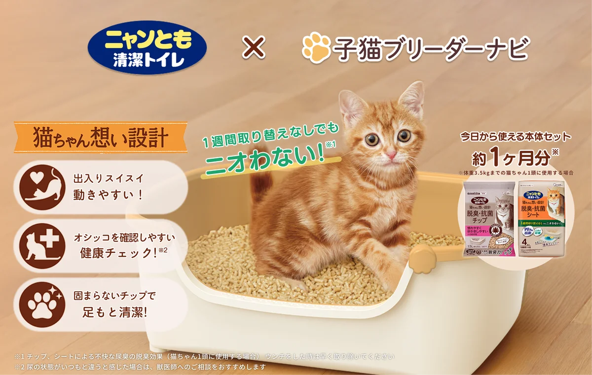 子猫ブリーダーナビ『ニャンとも清潔トイレ すいすいコンパクト（子猫用）』を2025年7月15日より成約特典に追加！ 画像 1