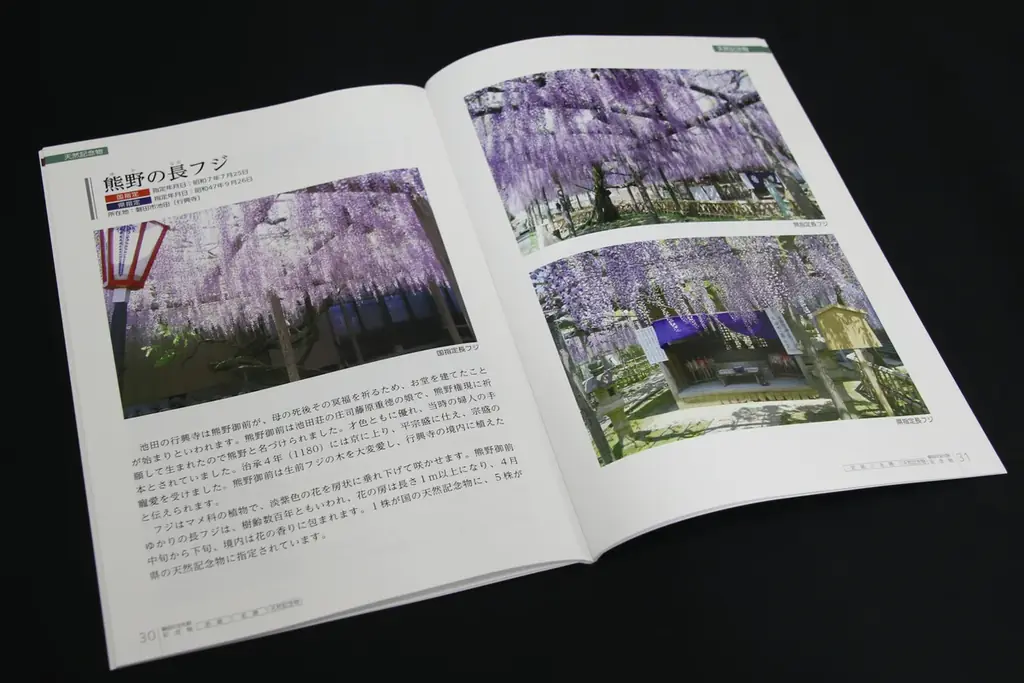 【16年ぶりにリニューアル！】磐田市(静岡)の指定文化財188件をまとめた写真集「磐田の文化財」を刊行しました 画像 3