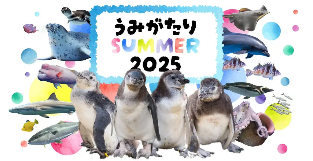 2025年7月19日開始！うみがたりの夏限定イベント徹底紹介