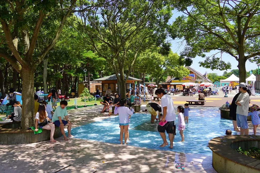 「とびっきり！夏フェア！」を開催します（国営ひたち海浜公園） 画像 10