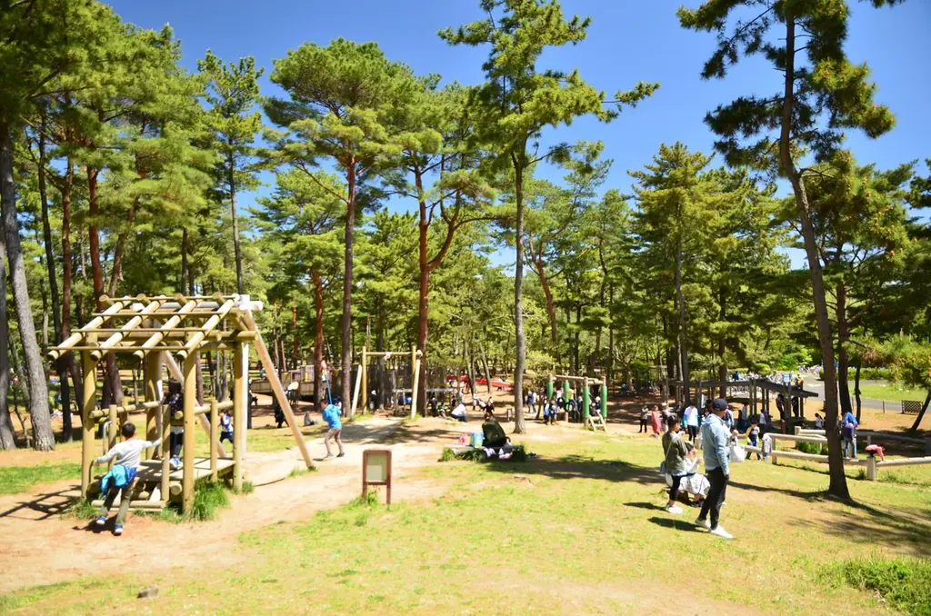 「とびっきり！夏フェア！」を開催します（国営ひたち海浜公園） 画像 12