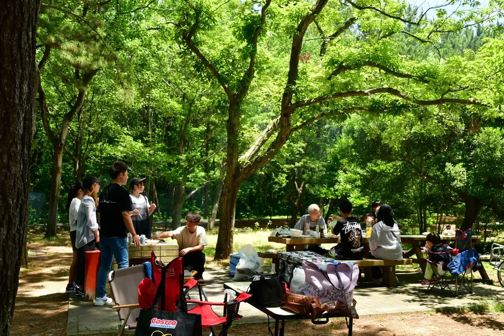 「とびっきり！夏フェア！」を開催します（国営ひたち海浜公園） 画像 13