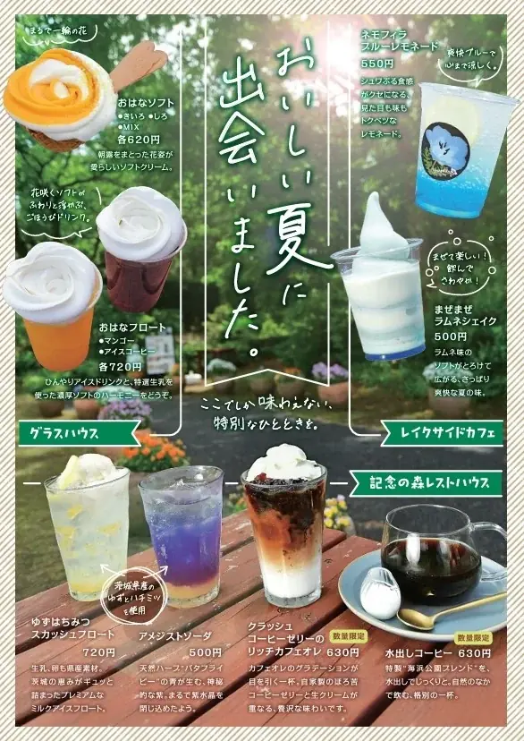 「とびっきり！夏フェア！」を開催します（国営ひたち海浜公園） 画像 15