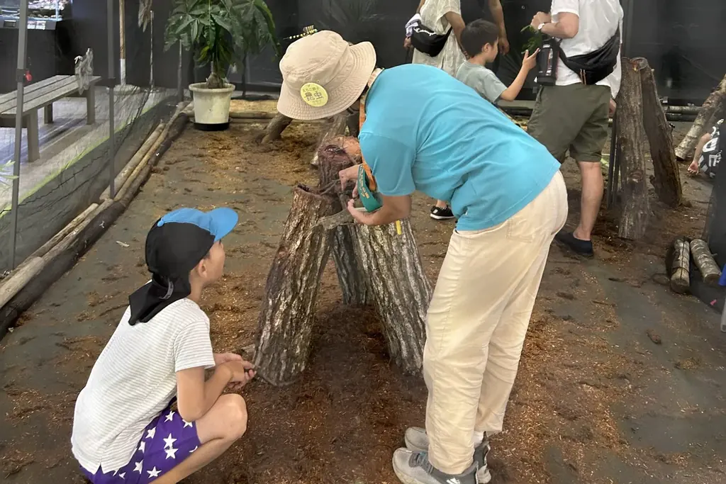 「とびっきり！夏フェア！」を開催します（国営ひたち海浜公園） 画像 5