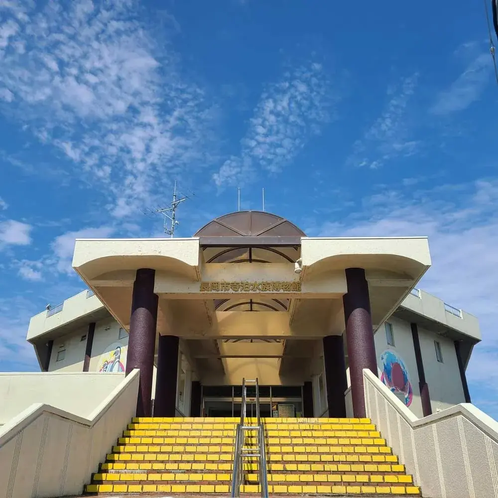 「アクアリウムは踊らない」×「長岡市寺泊水族博物館」スペシャルコラボ開催決定!コラボ中の水族館を訪問するファンツアーも実施! 画像 2