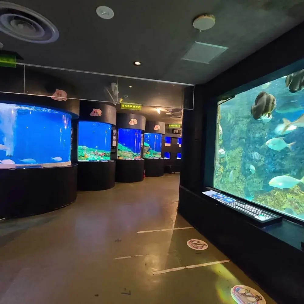 「アクアリウムは踊らない」×「長岡市寺泊水族博物館」スペシャルコラボ開催決定!コラボ中の水族館を訪問するファンツアーも実施! 画像 3
