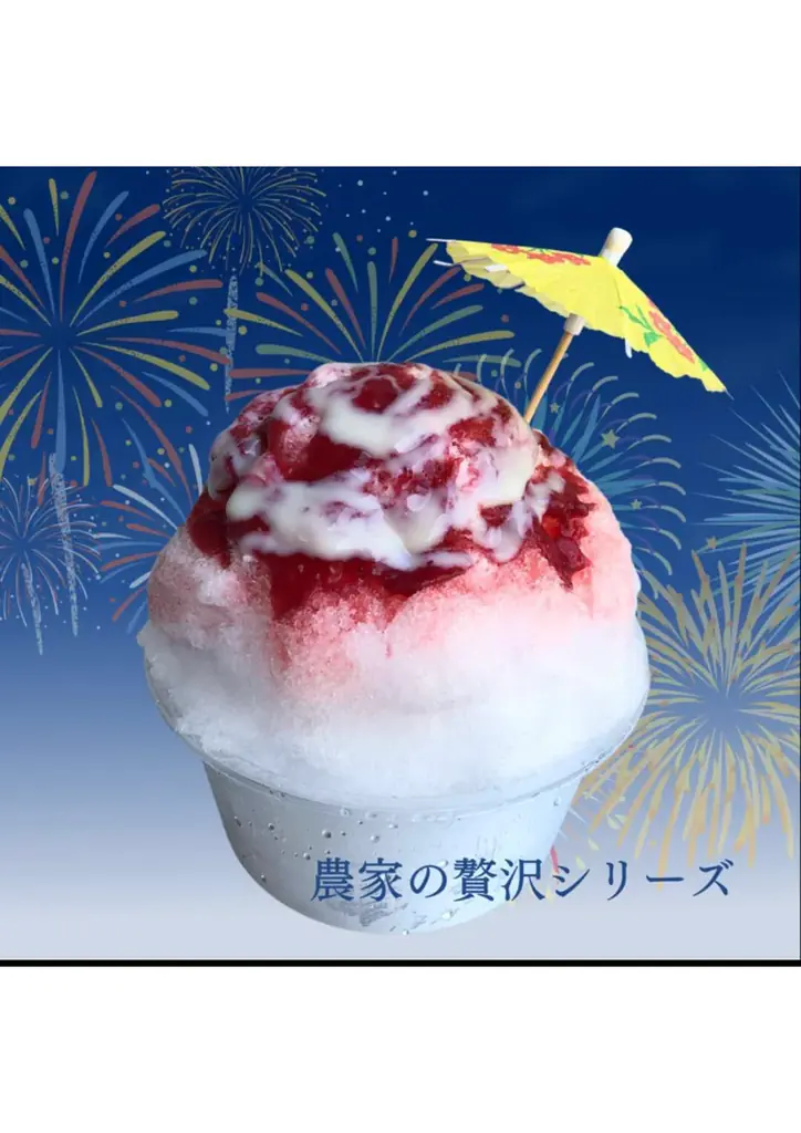 特別な夜を体感!8月2日(土)松戸花火大会2025 画像 4