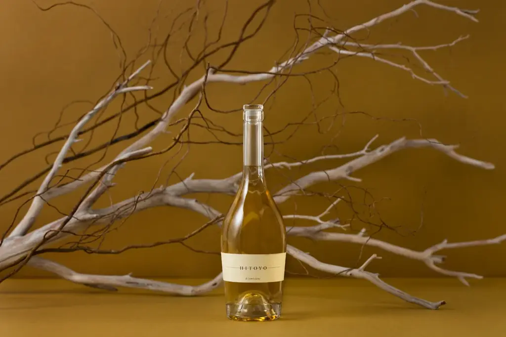 HITOYO、日本最大級クルーズ船「飛鳥Ⅲ」で取り扱い開始 画像 3