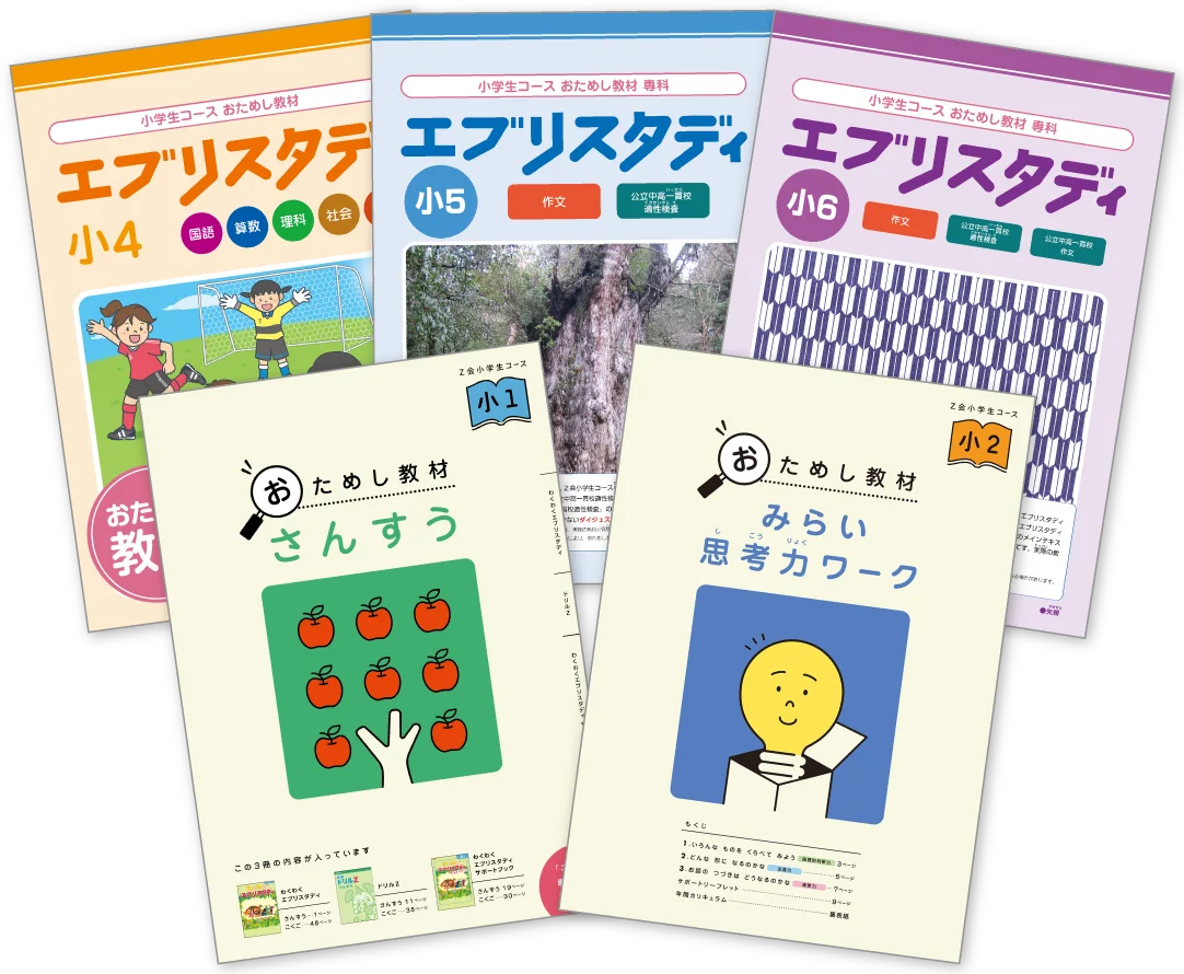 【Ｚ会の通信教育】小学生向けコース資料のご請求で、夏の学習に役立つ『復習+αドリル』とクリアファイルを無料プレゼント！ 画像 4