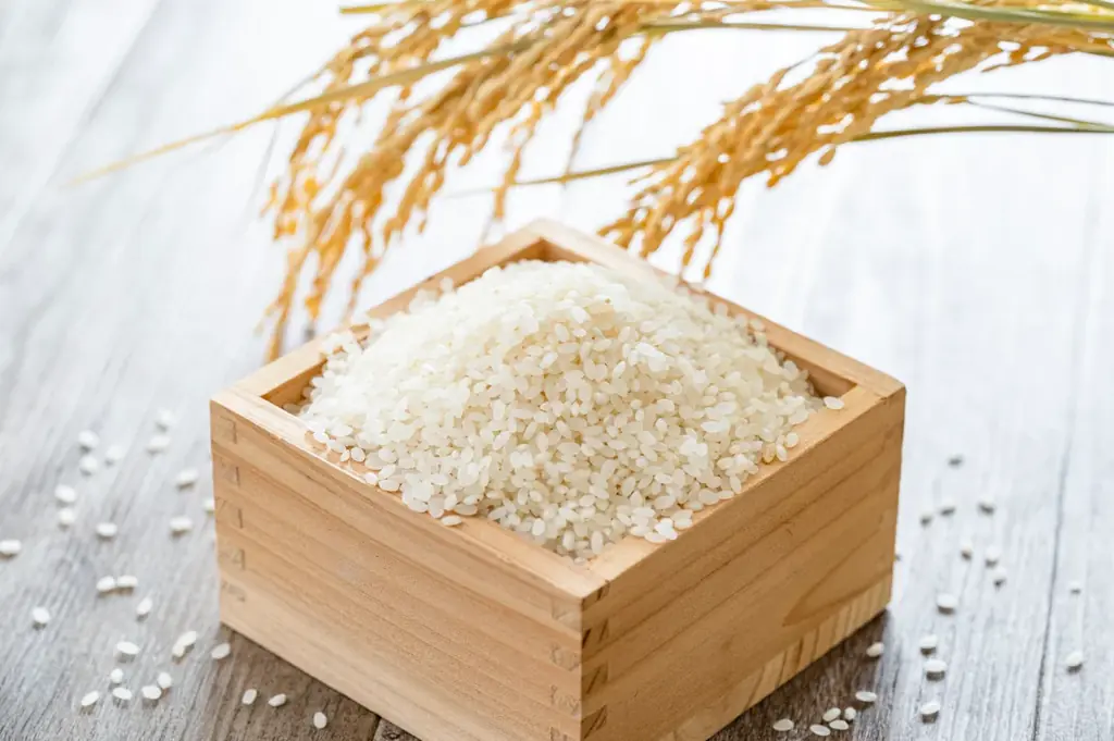 news every.くまもとを見て当たる!!新米プレゼントキャンペーン 画像 2