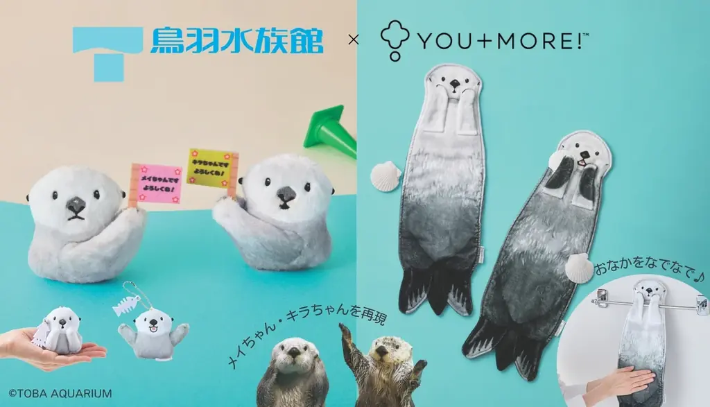 鳥羽水族館☆限定☆メイちゃん　キラちゃん　実写フェイスクッション☆ぬいぐるみ☆ フェイス メイ☆キラクッション【オリジナル】 – 鳥羽水族館