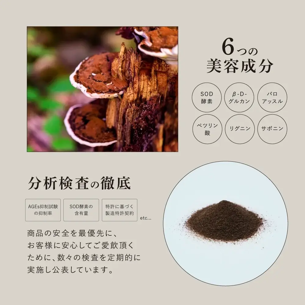 【新発売】特濃チャーガ茶「リテプレミアム」 画像 5