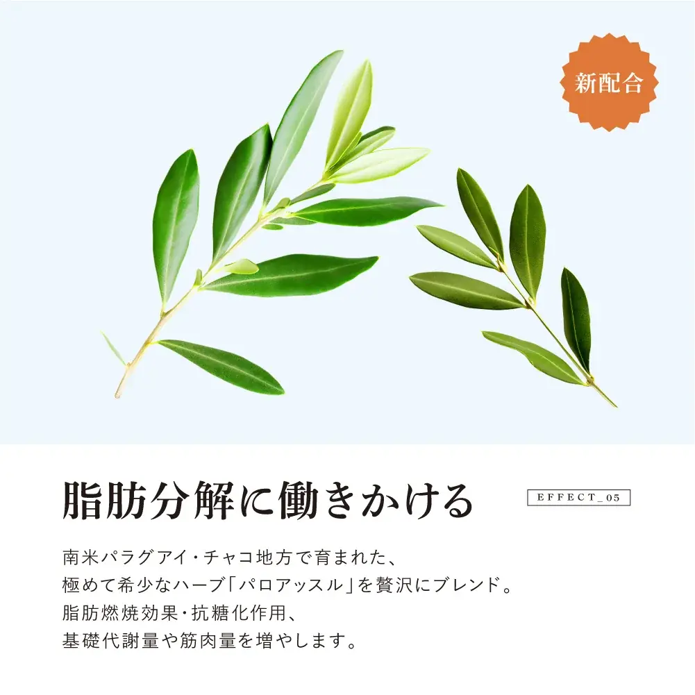 【新発売】特濃チャーガ茶「リテプレミアム」 画像 6