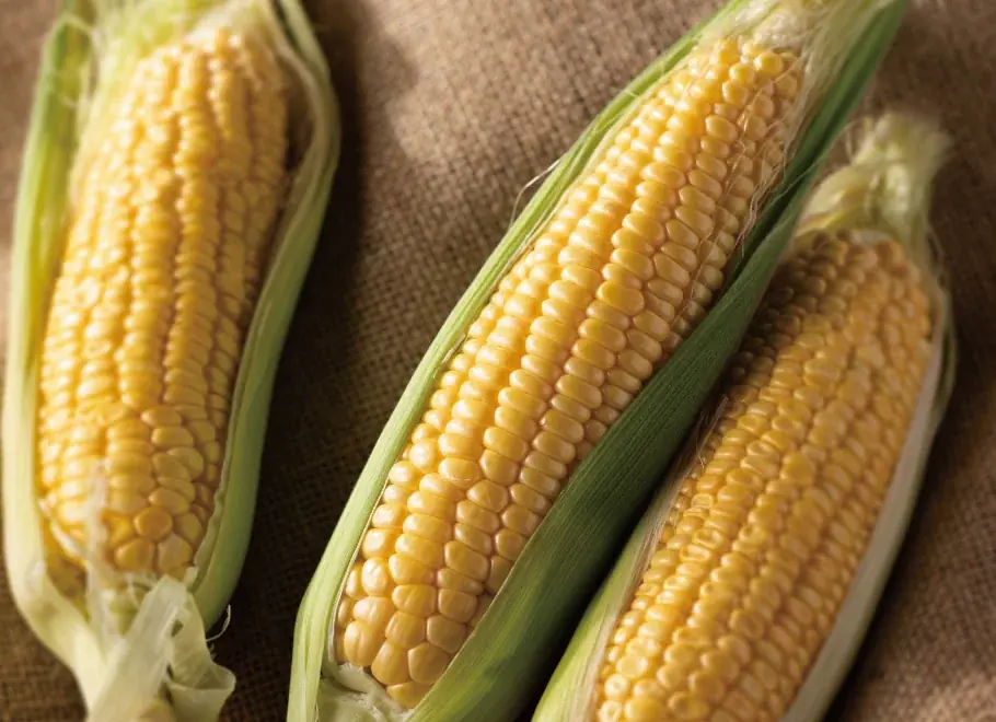 7/20より福島県鏡石町にて「農家が主役のカフェ VEGETABLE LIFE」を期間限定オープン、地元の農家・事業者と八芳園がコラボレーション 画像 23