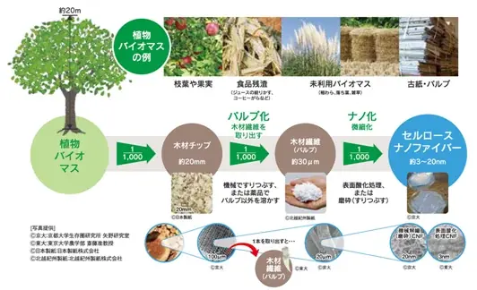 世界初！ＣＮＦ配合容器での商品配送を県内ファミリーマートで実装化 画像 2